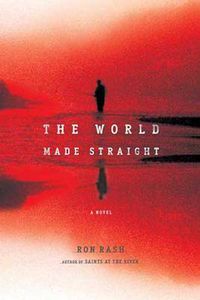 Cover image for The World Made Straight