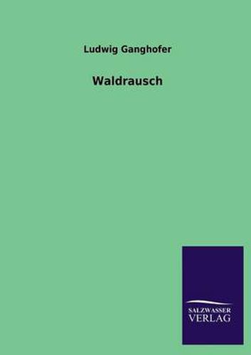 Cover image for Waldrausch
