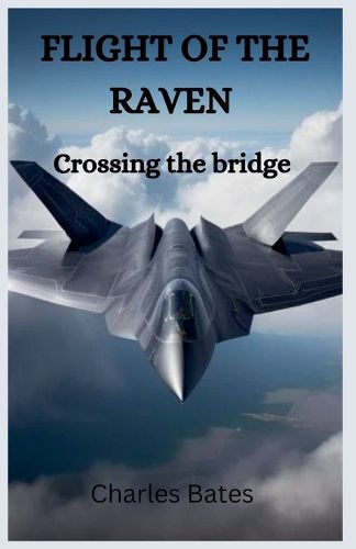 Cover image for Flight of the Raven