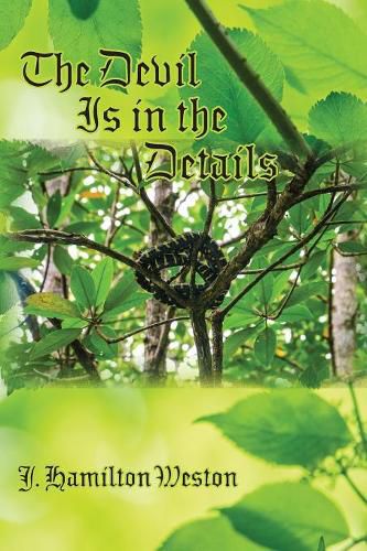 Cover image for The Devil Is in the Details