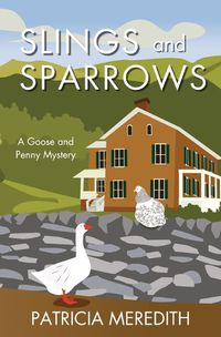 Cover image for Slings and Sparrows