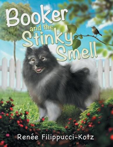 Cover image for Booker and the Stinky Smell