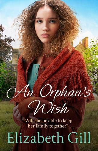 Cover image for An Orphan's Wish