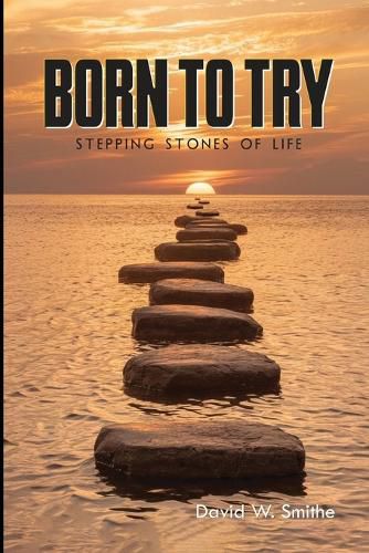 Cover image for Born to Try