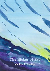 Cover image for The Flicker of Sky