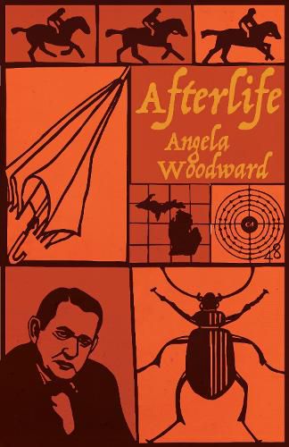 Cover image for Afterlife