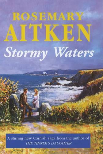 Cover image for Stormy Waters