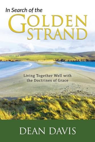 Cover image for In Search of the Golden Strand