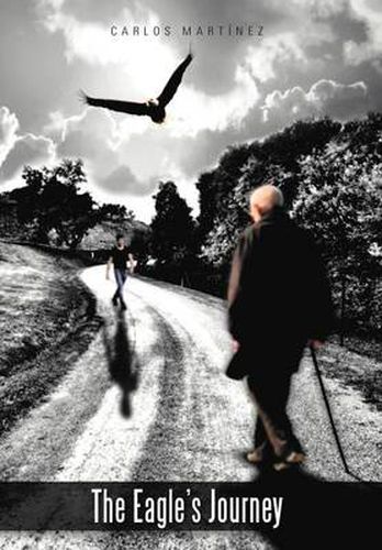 Cover image for The Eagle's Journey