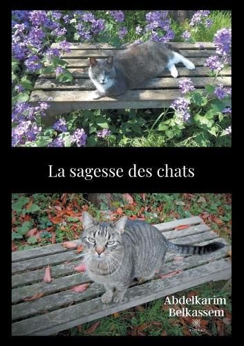 Cover image for La sagesse des chats