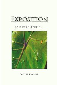 Cover image for Exposition