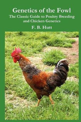 Cover image for Genetics of the Fowl