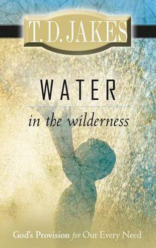 Cover image for Water in the Wilderness: God's Provision for Our Every Need