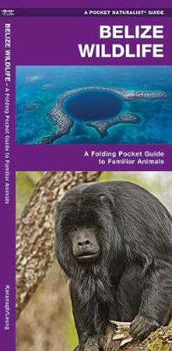 Cover image for Belize Wildlife: An Introduction to Familiar Species