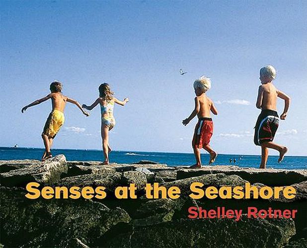 Senses at the Sea Shore