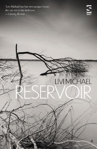 Cover image for Reservoir