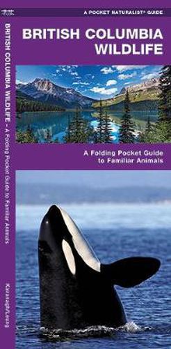 Cover image for British Columbia Wildlife: A Folding Pocket Guide to Familiar Species