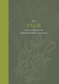 Cover image for The Palm: Collection at the Jardin Botanico Culiacan