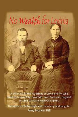 Cover image for No Wealth for Levinia