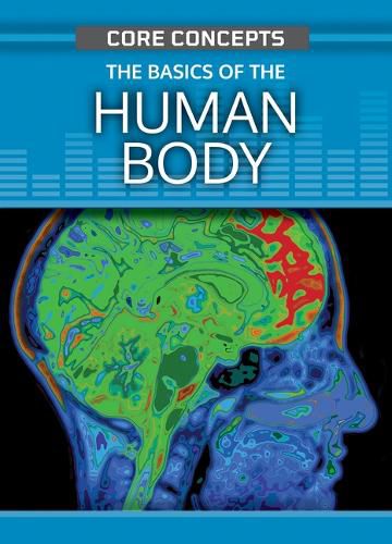 Cover image for The Basics of the Human Body