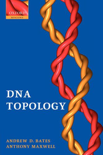 Cover image for DNA Topology