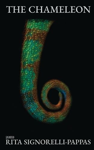 Cover image for The Chameleon