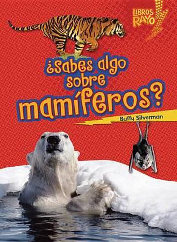Cover image for ?Sabes Algo Sobre Mamiferos? (Do You Know about Mammals?)