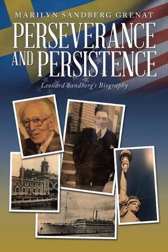 Cover image for Perseverance and Persistence