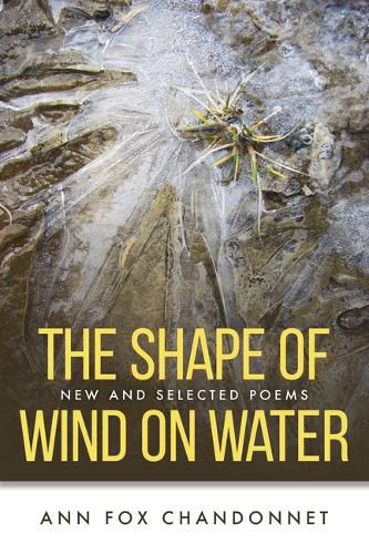 Cover image for The Shape of Wind on Water