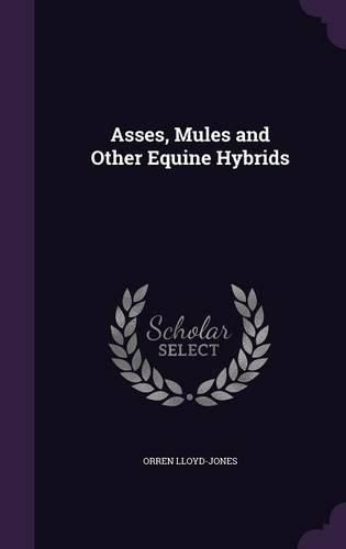 Cover image for Asses, Mules and Other Equine Hybrids