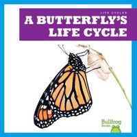 Cover image for A Butterfly's Life Cycle