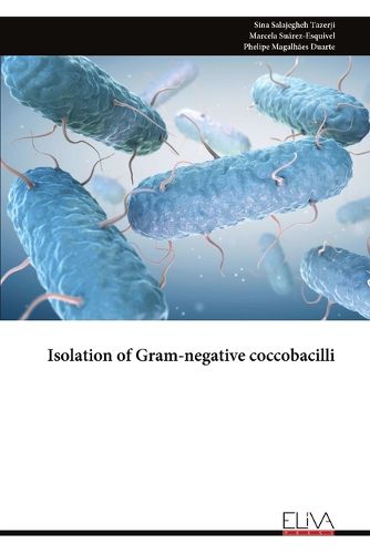 Cover image for Isolation of Gram-negative coccobacilli