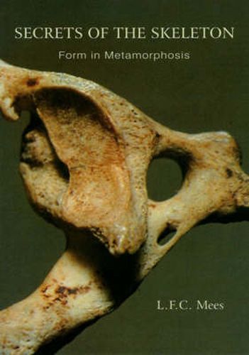 Cover image for Secrets of the Skeleton: Form in Metamorphosis