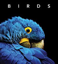 Cover image for Birds