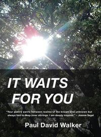 Cover image for It Waits for You