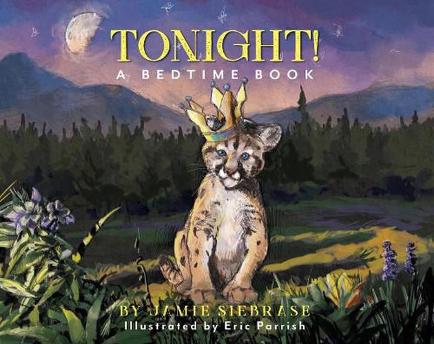 Cover image for Tonight: A Bedtime Book