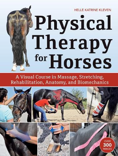 Cover image for Physical Therapy for Horses: A Visual Course in Massage, Stretching, Rehabilitation, Anatomy, and Biomechanics