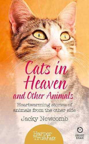 Cover image for Cats in Heaven: And Other Animals. Heartwarming Stories of Animals from the Other Side.