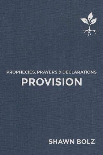 Cover image for Provision: Prophecies, Prayers & Declarations