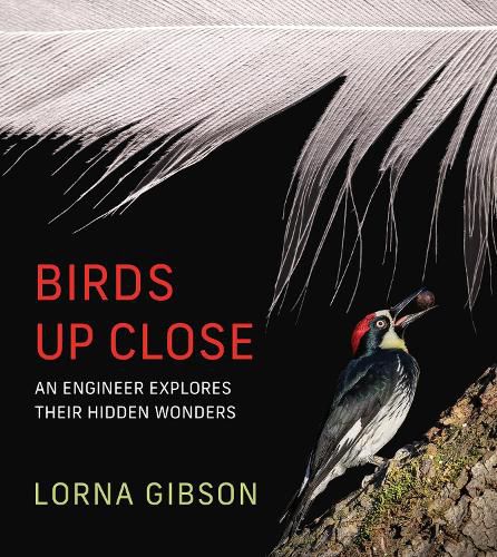 Cover image for Birds Up Close