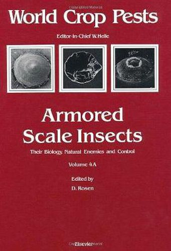 Armored Scale Insects