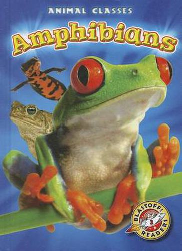 Amphibians