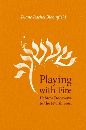 Cover image for Playing With Fire