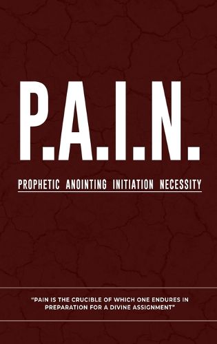 Cover image for P.A.I.N.