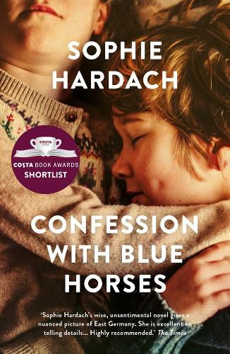 Cover image for Confession with Blue Horses