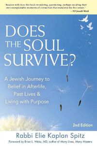 Cover image for Does the Soul Survive? (2nd Edition): A Jewish Journey to Belief in Afterlife,  Past Lives & Living with Purpose