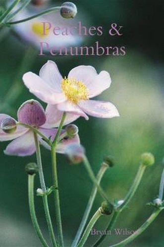 Cover image for Peaches & Penumbras