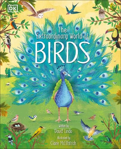 Cover image for The Extraordinary World of Birds