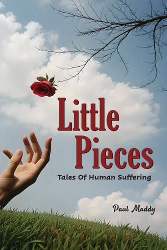 Cover image for Little Pieces