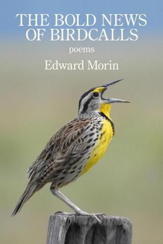 Cover image for The Bold News of Birdcalls